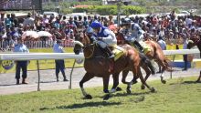 Hippisme - 3e course: Promisory trop fort pour les B36