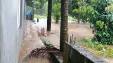 Averses : 68 mm de pluie à Mare-aux-Vacoas en trois heures 