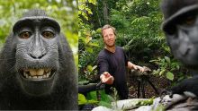 L'humain gagne dans l'affaire du selfie du macaque