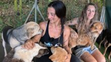 L'incroyable histoire de Cindy et Malika : deux sœurs suisses quittent tout pour sauver les chiens errants de Maurice
