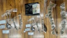 Saisie de Rs 150 000 de drogues, dont 25 paquets de cannabis «Mass Pididy»