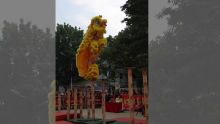 Le Festival Chinatown : haut en couleurs encore et toujours 