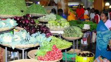 Légumes : une baisse des prix attendue d’ici deux semaines