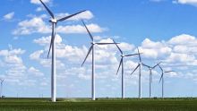 Créneau porteur : les Chinois souhaitent investir dans les énergies renouvelables