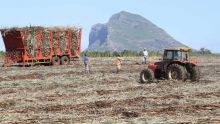 Emploi des saisonniers : le JNP s’inquiète quant au sort des ouvriers agricoles et des artisans 