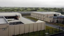 Prison de Melrose : des prisonniers s’adonnent à la plantation de gandia