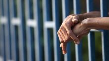 Statistiques à Maurice : un cas sur 20 a abouti à une peine de prison