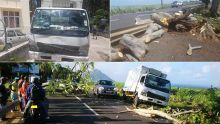 [Vidéo] Cascavelle : un arbre tombe sur un camion