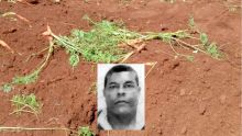 Dans une plantation de carottes à Notre-Dame : il meurt enseveli sous une pelleteuse