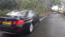Olivia : un arbre tombe sur la route juste après le passage de la voiture de Fazila Daureeawoo
