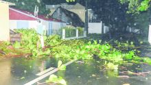 Ruthless Berguitta : Mauritius spared from severe destructions