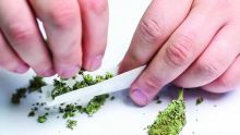 Rs 115 000 d’amende pour possession de cannabis