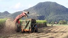 Récolte sucrière - Mélasse : première tranche de Rs 900 par tonne aux planteurs