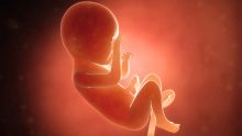 Cadre légal - Lindsey Collen : «Il faut décriminaliser l’avortement»