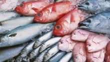 Consommation : pénurie de poisson et hausse des prix