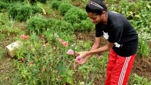 Zia Blooms Florist : quand Berguitta ne fait aucune fleur aux plantations
