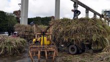 Plan de sauvetage de Rs 1,3 milliard : la chambre d’Agriculture évoque une «situation grave»