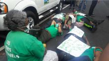 Porlwi by Nature : les Verts fraternels protestent en s’allongeant sur l’asphalte