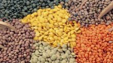 Bois, grains secs, barre de fer, engrais, conserve…Russie et Ukraine : importations de Rs 604,7 M en trois ans