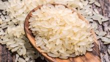 Délégation pakistanaise à Maurice - Classification du riz basmati : les pourparlers débutent