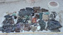 Espagne : un cachalot échoué avait avalé 29 kg de déchets plastiques