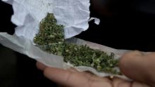 Coromandel : de l’héroïne, du cannabis…et Rs 170 000 saisis chez un maçon