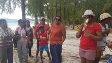 Cyclone Berguitta : certains profitent de la plage
