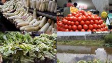 Post-Berguitta : le prix des légumes grimpe en flèche