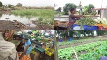 Inondations : hausse inévitable pour certains légumes