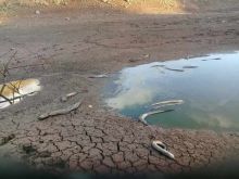 Rodrigues : la sècheresse se fait déjà sentir