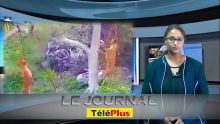 Le Journal Téléplus – Cruauté envers les animaux : des jeunes pendent des chiens à Rodrigues et filment la scène