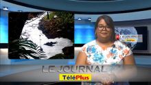 Le Journal Téléplus – La rivière Mesnil recouverte de mousse, l’origine de la pollution se situe à la rue Lees à Curepipe