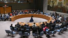 Gaza: pour la première fois, le Conseil de sécurité vote pour un cessez-le-feu immédiat