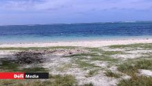 À Palmar : la voiture d’un touriste suisse volée à la plage