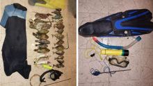 Pêche illégale dans le Sud : deux suspects prennent la fuite