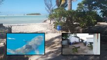 Saint-Brandon : l’île Raphaël, des pêcheurs, des garde-côtes et des requins bouledogues