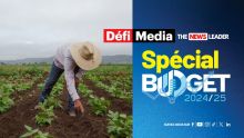 Budget 2024-25 - Planteurs : Une subvention de Rs 250 000 pour l’achat d’équipements