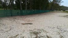 «Redéclarer la plage de Pomponette publique», réclame AKNL