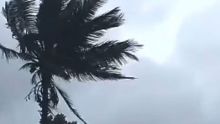  Cyclone Freddy Classe 3 : Floréal sous les rafales et la pluie