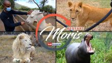 [Restart Moris] Casela mise sur de nouvelles activités pour se relancer