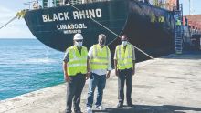 Reprise de l’importation de bétails de Rodrigues : 160 animaux font route vers Maurice