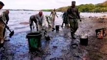 Marée noire : Rivière-des-Créoles fait peine à voir, l'opération de nettoyage se poursuit