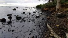 Marée noire : quatre plages prioritaires pour le nettoyage, appel à une collecte de conteneurs pour le ramassage des déchets 