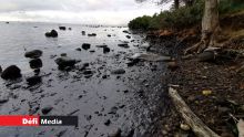 Wakashio : pêcheurs, plaisanciers et 'banians' réclament un « Spill Impact Assessment »