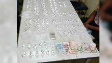 Un jeune homme arrêté avec 483 pouliahs de gandia