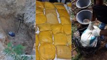 Saisie record de drogue : plusieurs suspects dans le collimateur de l’Adsu