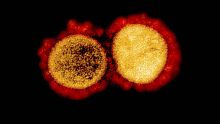 Le coronavirus peut survivre 28 jours sur des surfaces (étude)