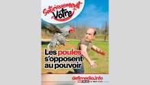 [Satiriquement Vôtre] Les poules s’opposent au pouvoir