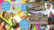 School Holiday Plans: Fun, fun and fun