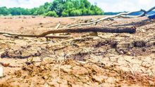 Sécheresse - crise de l’eau : le spectre de 1999 plane sur le pays